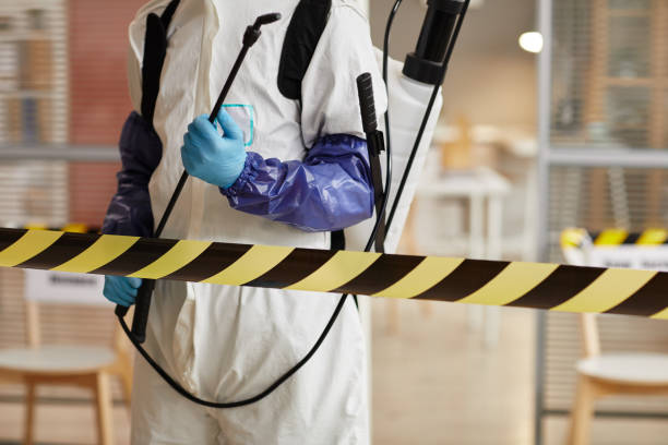 Professional Hoarding Cleanup technician working in Blue Mountain, AR